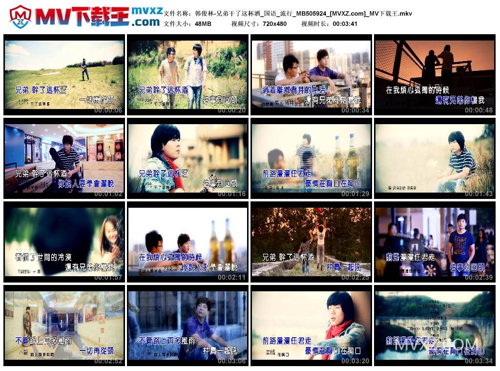 韩俊林-兄弟干了这杯酒_国语_流行_MB505924